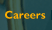 Careers